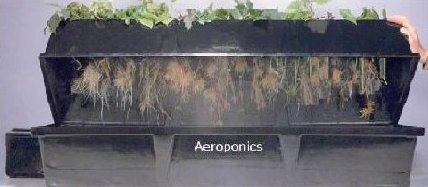 Aeroponic Chamber (black) - add-on